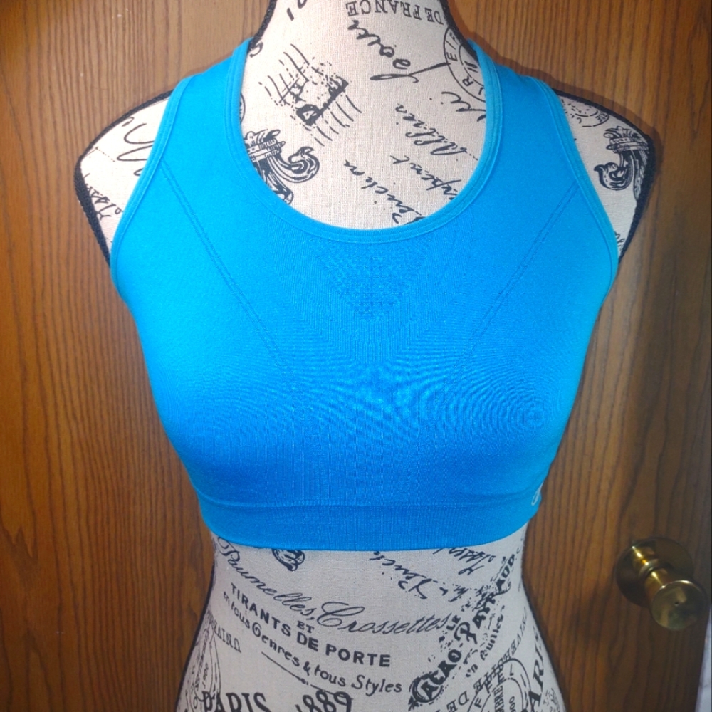 Sm Champion Blue Sports Bra